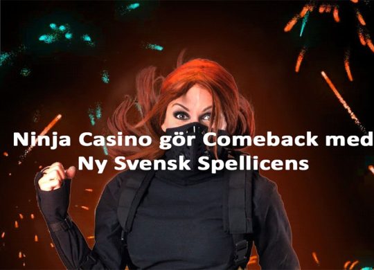 Ninja Casino Tillbaka med Svensk Spellicens